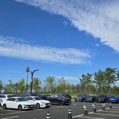 편의점 쇼핑 편하게!