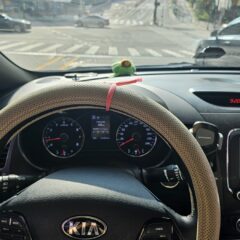 혼잡한 출퇴근 시간 피하고 싶었어요