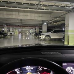 아이들 학교까지 운전 연습