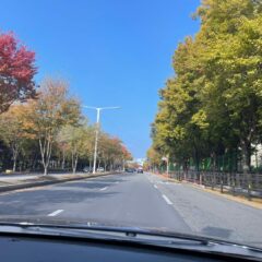 아이 카페 가기 편해요