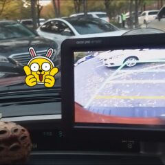 주차 필수 교육도 잘 받았어요