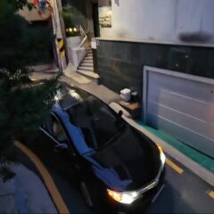 혼자 운전 하려고